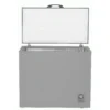 Hisense deep freezer - FRZ FC340SH - silver