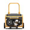 Firman Eco Gold 4.5ka / 4.0kVA Key Starter Generator – EG20